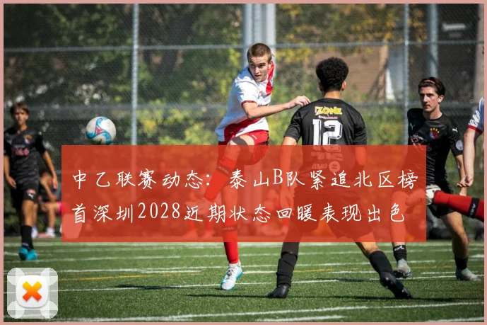 中乙联赛动态:泰山B队紧追北区榜首深圳2028近期状态回暖表现出色